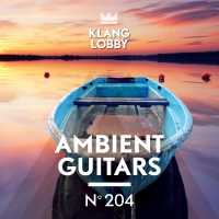 KL204 Ambient Guitars