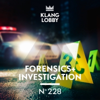 KL 228 Forensics + Investigation