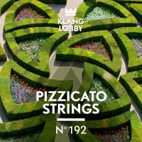 KL192 Pizzicato Strings